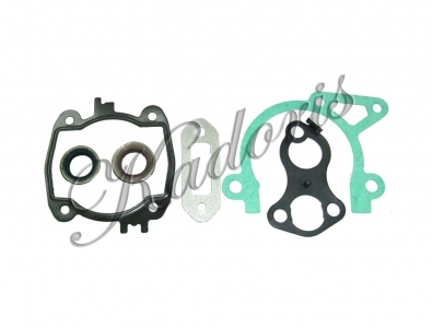 Gasket set with oil seal