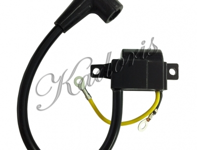 Ignition module